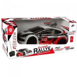 Voiture de Rallye 1/16ème